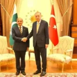 WhatsApp Launches In-App Message Translation for Android Beta Users