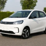 Punjab Empowers PMEX for Wheat EWR Trading to Revolutionize Agri Markets