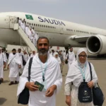 Searle’s Financials Shine While Market Undervalues Growth