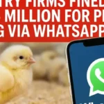 Water Levels Drop Critically in Rawal, Simly, and Khanpur Dams Amid Drought