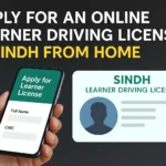 A Bold Tribute: Peshawar Zalmi Special Kit 2025