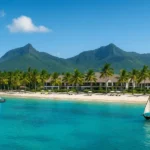 BYD Opposes Import of 5-Year-Old Used Cars in Pakistan to Safeguard Clean Energy Goals